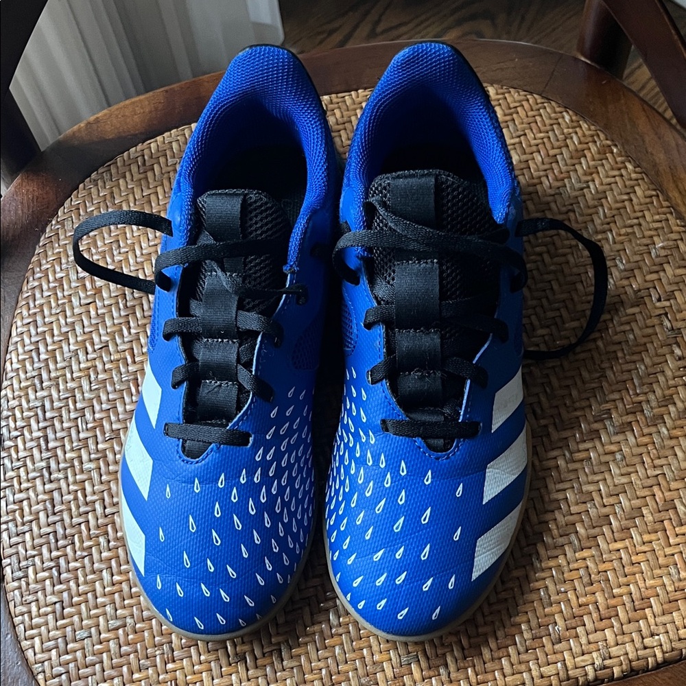 adidas predator indoor turf shoes Kids Blue and Black Sneakers
